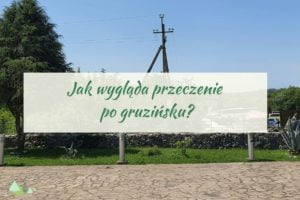 - Języki Kaukazu przeczenie po gruzińsku