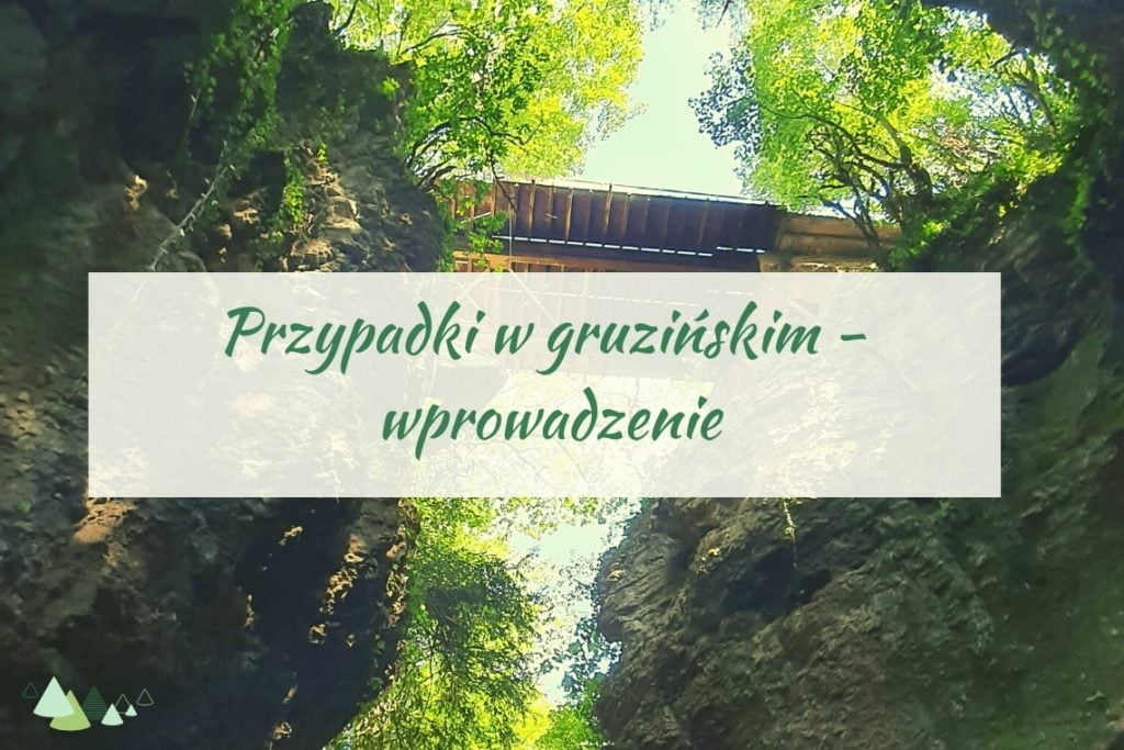 przypadki w języku gruzińskim języki kaukazu