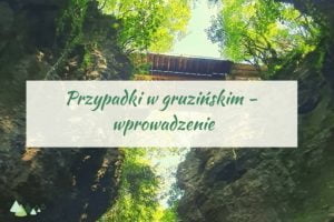 - Języki Kaukazu przypadki w języku gruzińskim języki kaukazu