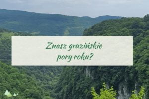 - Języki Kaukazu - Języki Kaukazu