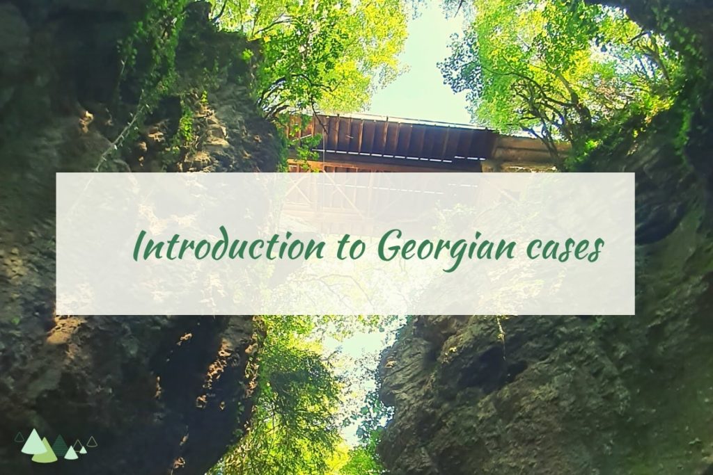 georgian cases