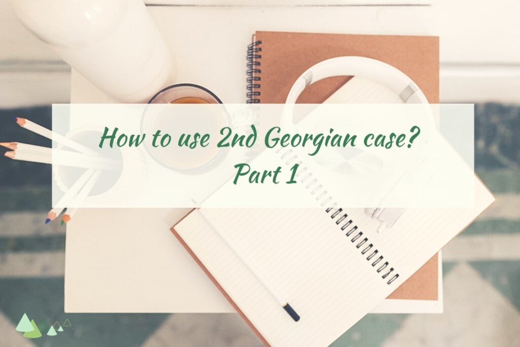 ergative in georgian language