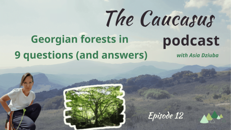 - Języki Kaukazu Georgian forests podcast caucasus deforestation