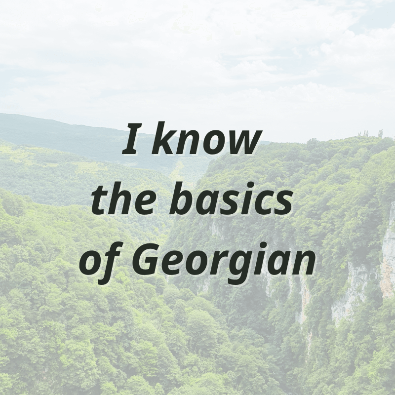 znam juz podstawy grzuinskiego języka nauka języki kaukaskie