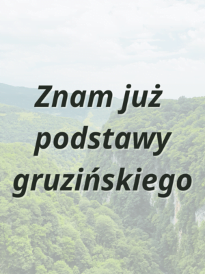 znam juz podstawy grzuinskiego języka nauka języki kaukaskie