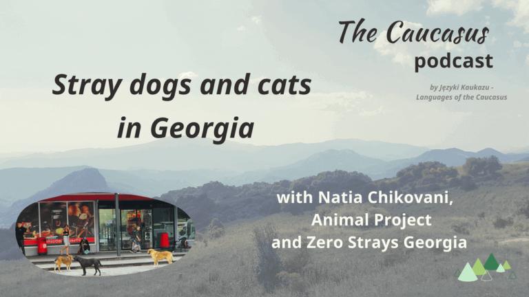 - Języki Kaukazu Stray dogs and cats in Georgia the Caucasus podcast Zero stray dogs Animal project